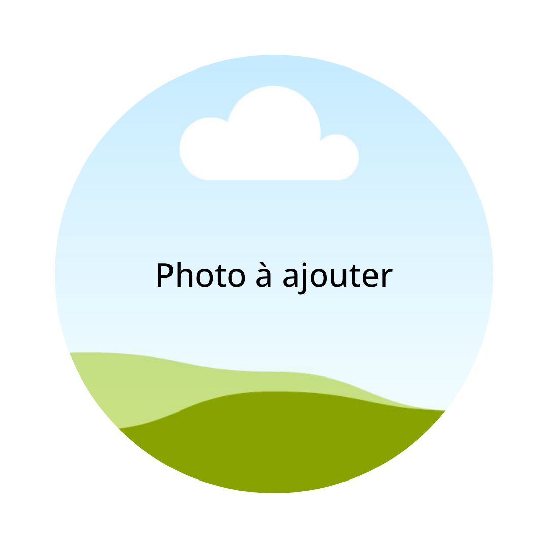 charlene itsarty studio archétypes de marque